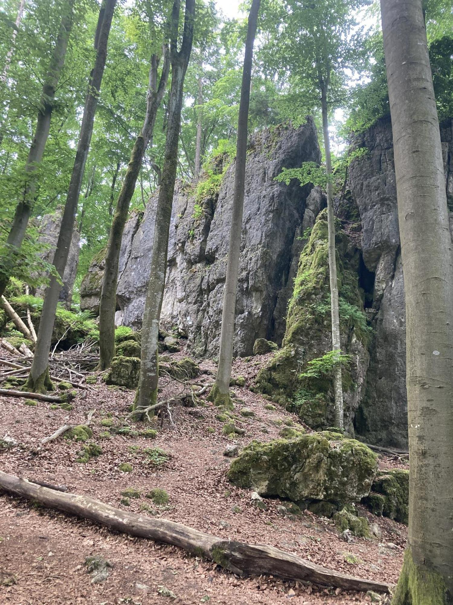 Brunnerhof Urlaub Auf Dem Land *