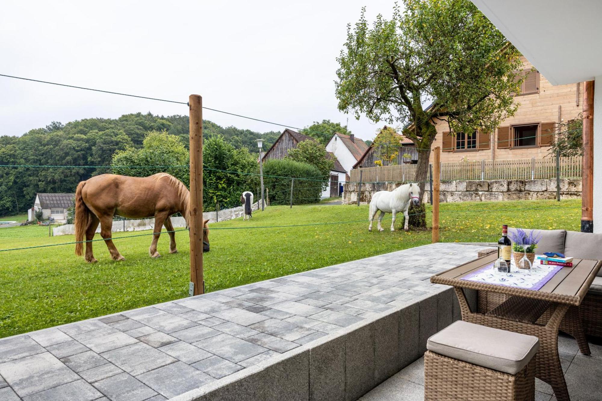 Apartment Brunnerhof Urlaub Auf Dem Land Hartenstein (Bavaria)
